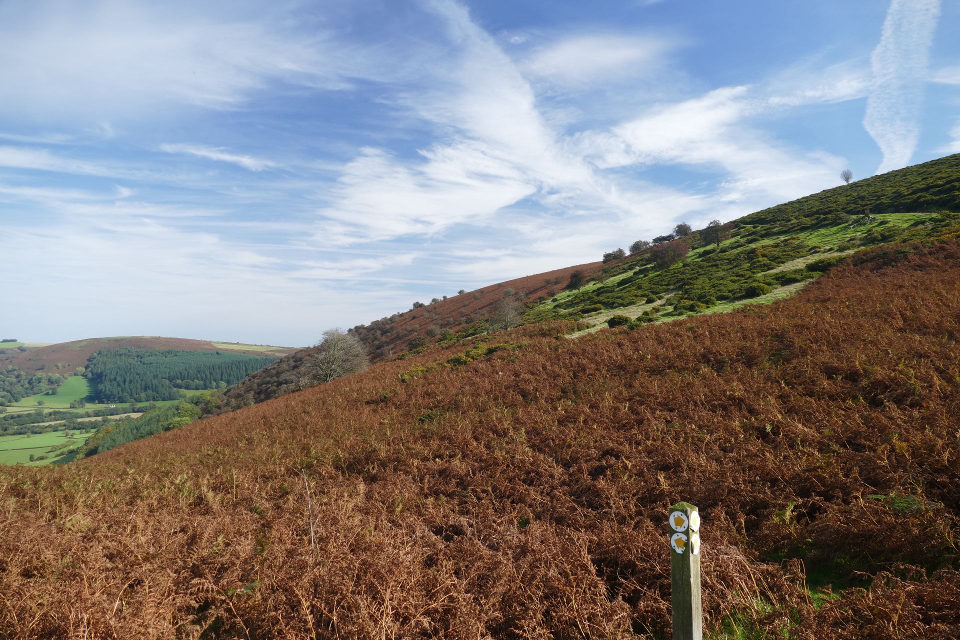 Kington Meander 2